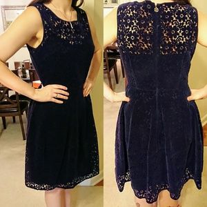 Tommy Hilfiger Navy Velvet Lace Fit & Flare Dress